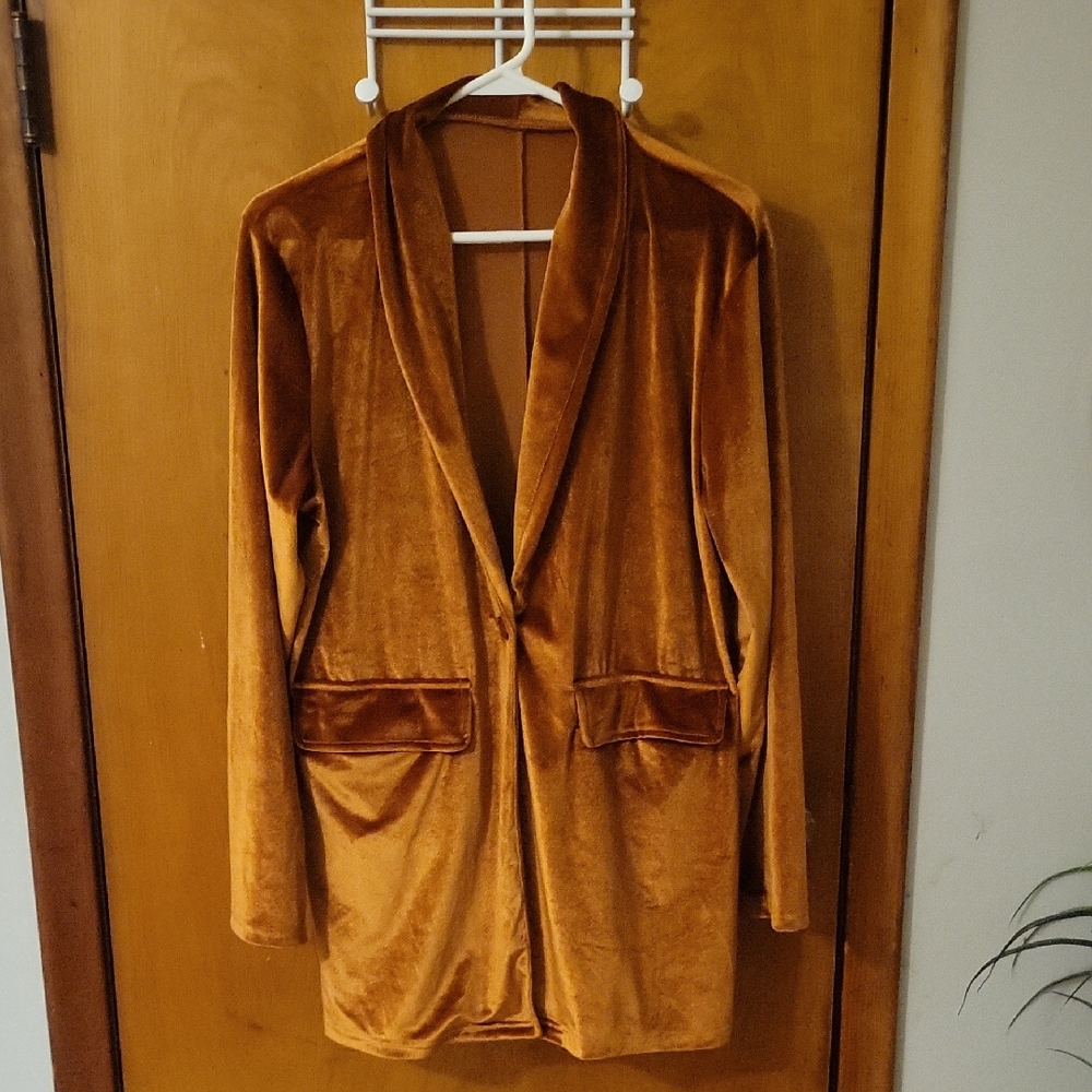 Velvet Blazer in Rich Brown